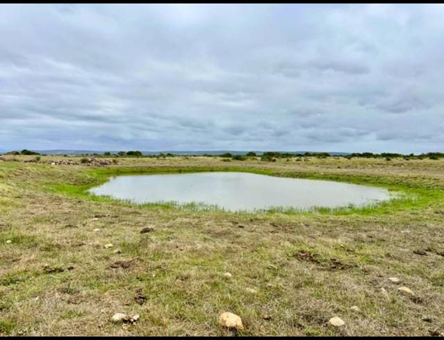 FARM FOR SALE IN MOSSEL BAY RURAL